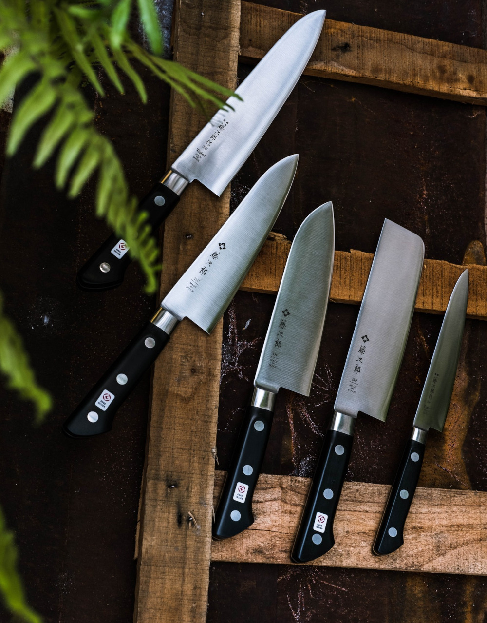 Tojiro DP 3